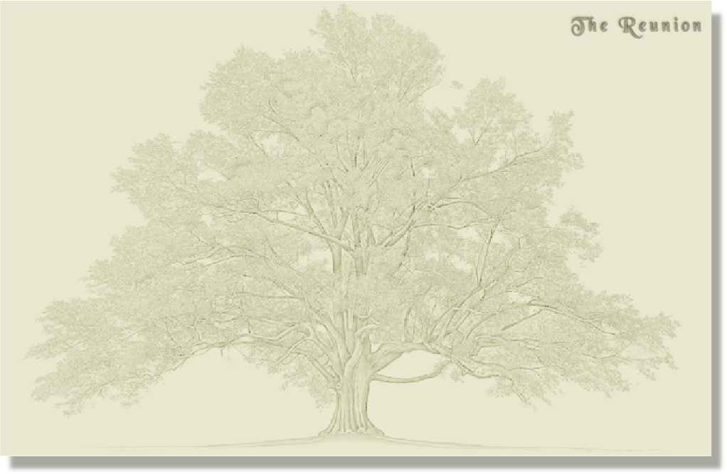 wpd6a72413.png